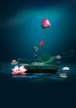 Mười Điều Tâm Niệm
