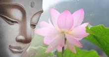 Gió nghiệp đời ta