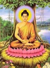 Nguyên Tắc Để Được Thành Phật