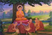 15 Điều Học Phật, Ứng Dụng, và Chuyển Hóa