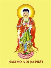 Thành Kính Phân Ưu Thượng Tọa Thích Tâm Minh