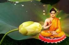 Điều Xấu Đến, Do Lỗi Mình