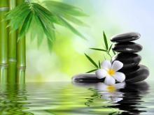 Sự sống là vĩnh hằng