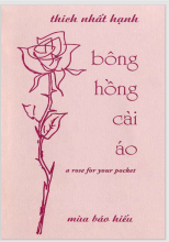 Bông Hồng Cài Áo
