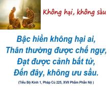 Không hại, không sầu