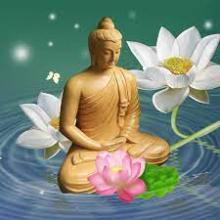 Quang Năng và Sự Chứng Đắc
