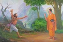 Tác Dụng Tuyệt Vời Của Lòng Khoan Dung Trong Cuộc Sống