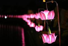 Quán niệm mùa Phật đản