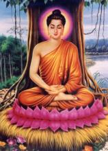 Bồ Tát Siddhartha Ngộ Đạo