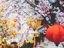 Xuân