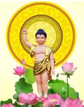 Ánh sáng ngày Phật Đản sinh