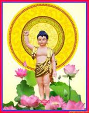 Kính Mừng Phật Đản (PL: 2567 DL: 2023)