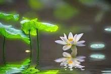 Sống An Vui Ý Nghĩa Trong Cuộc Đời