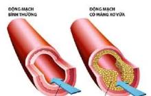 Bệnh Duyên và Tu Tập