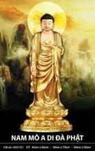 Ước Nguyện Cuối Đời (Phần cuối)