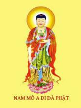 Tịnh Độ Văn Loại Tụ Sao