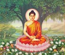 Chuyển Hoá Tự Thân
