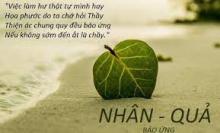 Tự Nhủ Cố Gắng Tu Phước (phần cuối)