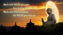Luật Nhân Quả