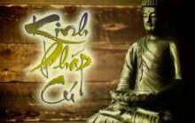 Người Trí và kẻ kém Trí