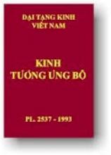 Video Books Kinh Tương ưng Bộ