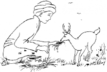 Nai Gió và Cỏ Mật