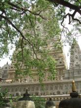 Bồ Đề Đạo Tràng nơi đức Phật thành đạo
