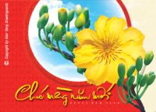 Niềm vui ngày xuân