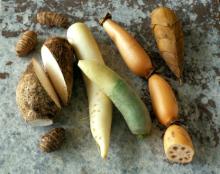 Độc tố trong rau, củ, hạt