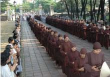 Màu áo nâu sồng