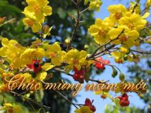Mừng Năm Mới (slideshow)