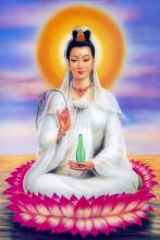 Tâm Kinh và Tính Không