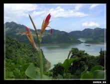 Quê Hương
