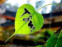 Phật Dạy Nhìn Lại Lỗi Mình Để Tiến Tu