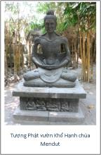 Vì sao chợt tắt