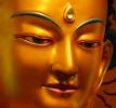 TỨ ĐẠI – dưới con mắt của Phật học và Khoa học
