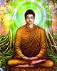 Học Phật Nên Biết