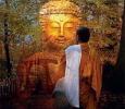 Đức Phật siêu việt - Đạo Phật siêu nhiên