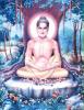 Đức Phật Thích Ca: con đường từ khổ hạnh đến giác ngộ