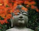 Tổng thống Ấn Độ, Tiến sĩ Dayal Sharma, nói về triết học của Đức Phật
