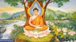 Niên đại xuất gia, thành đạo trong kinh Phật Bản Hạnh Tập