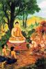 Đức Phật Dạy Về Lòng Tham Của Con Người
