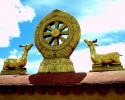 8 biểu tượng phổ biến nhất trong Phật giáo