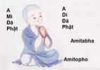 Từ “A Mi Đà Phật” lại nghĩ thêm về vấn nạn của Phật giáo VN