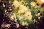 Giới thiệu pháp Thiền Nguyên thủy của Đức Phật