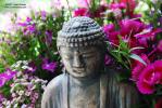 Đức Phật và cây cỏ