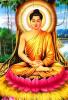 Hai Tiêu Chuẩn Học Thuật Ảnh Hưởng Đến Nghiên Cứu Phật Học