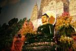 Slideshow - Phật ngọc hòa bình thế giới
