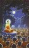 Dựa Vào Đâu Để Kiểm Chứng Lời Phật Dạy?